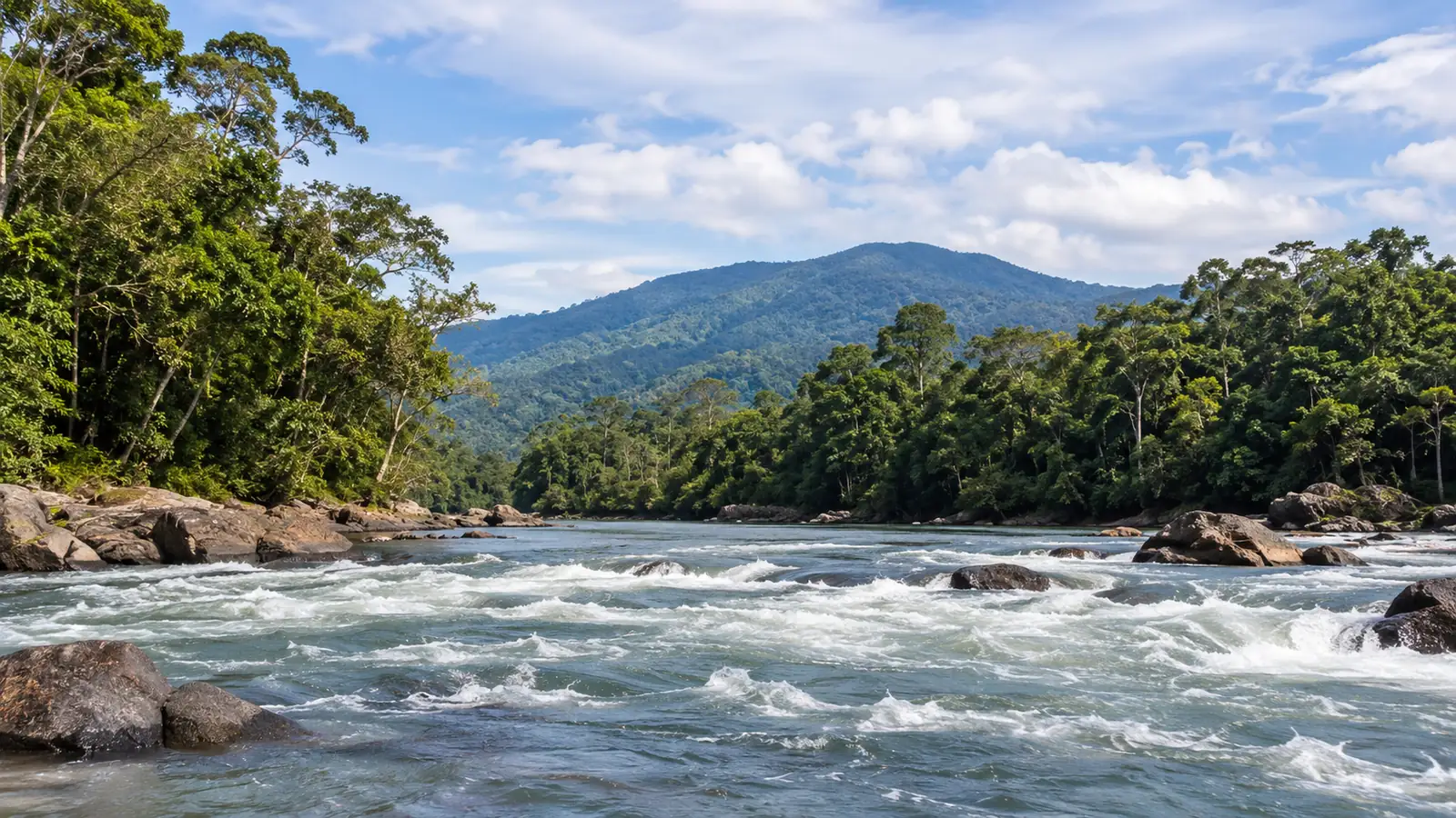 Wildwasser-Rafting auf dem Tully River